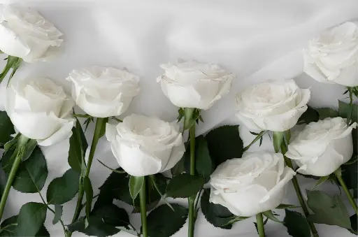 Ü funeraria